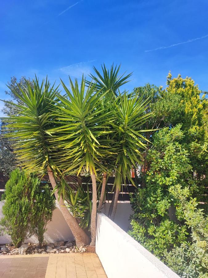Villa Maya Ližnjan Εξωτερικό φωτογραφία